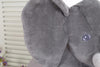 Load image into Gallery viewer, Elephant Ellie  - plush toy
